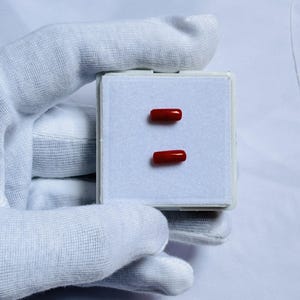 May include: Two small, rectangular, polished red gemstones are displayed in a white box with a soft, white interior. The gemstones are evenly spaced and appear to be of similar size and shape. The box is held by a gloved hand.