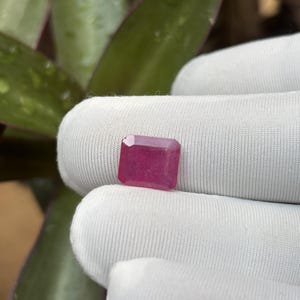 Può includere: Una gemma di rubino rettangolare e sfaccettata. La gemma è di un colore rosso-rosato intenso e saturo. La pietra è tenuta su uno sfondo di tessuto bianco, con un fogliame verde visibile sullo sfondo.