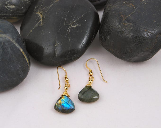 14k Gold Filled Labradorite Drop Earrings