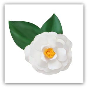 Camellia White Brooch