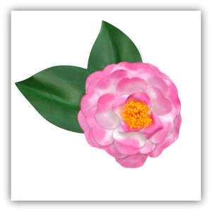 Camellia Japonica Variegated Pink Brooch
