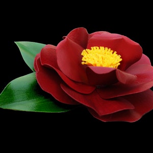 Black Magic Camellia Japonica Pin