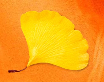 Ginkgo Pin