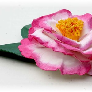 Betty Sheffield Camellia Japonica Pin
