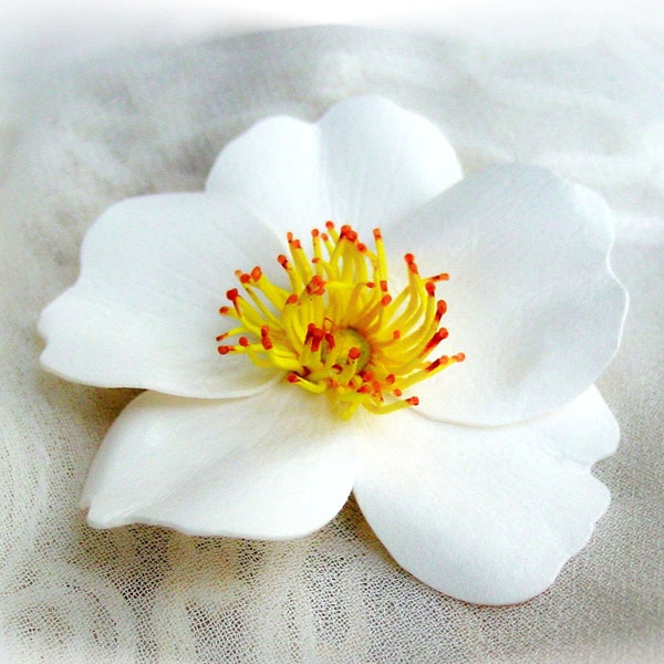 Cherokee Rose White Hair Clip