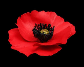 Red Poppy Pin