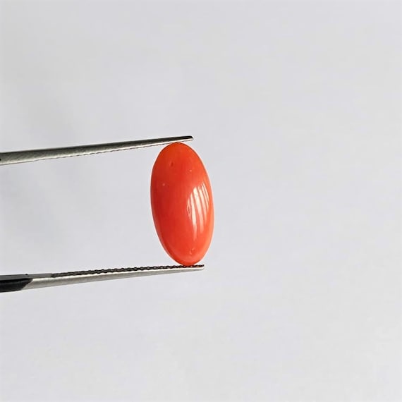Italian Coral Cabochon, Natural italian Coral  Gemstone, 2.95 Cts Cabochon, Jewelry Making, Certified Italian Mediterranean Monga Stone