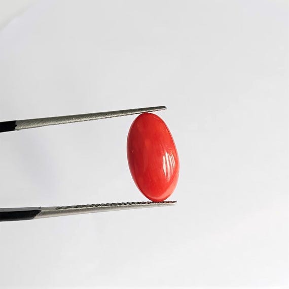 3.15 Cts Natural Italian Coral Cabochon , Loose Oval Gemstone , Jewelry Making, Certified Italian Mediterranean Monga Stone for Ring.