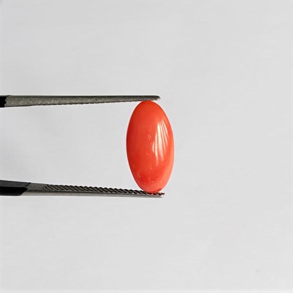 Natural Italian Red Coral Cabochon | Natural Mediterranean Red Coral | High Polish Loose Gemstone for Ring, Pendant & Jewelry Making