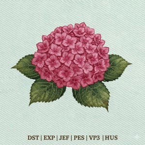 May include: A detailed illustration of a pink hydrangea flower with green leaves on a light blue background. The flower is in full bloom, showcasing its many small petals. The leaves are detailed with visible veins. The image includes text at the bottom.