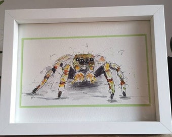 Spider tarantula original pen and watercolour illustration drawing painting. Small. Framed.