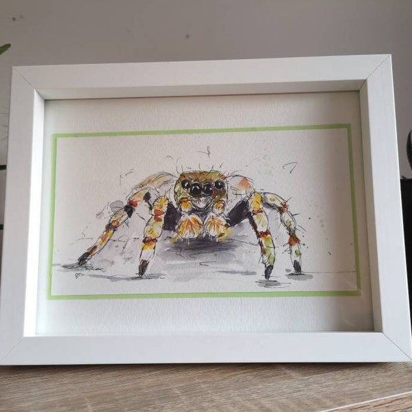 Spider tarantula original pen and watercolour illustration drawing painting. Small. Framed.