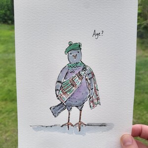 May include: A watercolor illustration on white paper featuring a grey pigeon wearing a green beret and a red, green, and white plaid sash. The pigeon has a small orange beak and is standing on a grey line. The text "Aye?" is written in black ink.