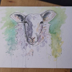 Peinture à l'aquarelle de moutons. Oeuvre originale. PRIX DE LIQUIDATION image 1