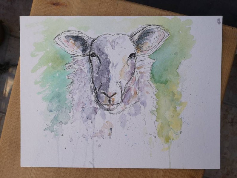 Peinture à l'aquarelle de moutons. Oeuvre originale. PRIX DE LIQUIDATION image 1