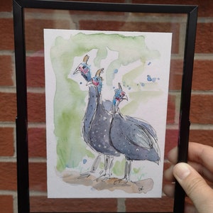 Guinea Fowl hens framed pen and watercolour drawing.