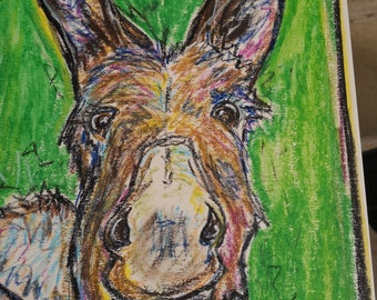 A3 original donkey oil pastel art drawing sketch