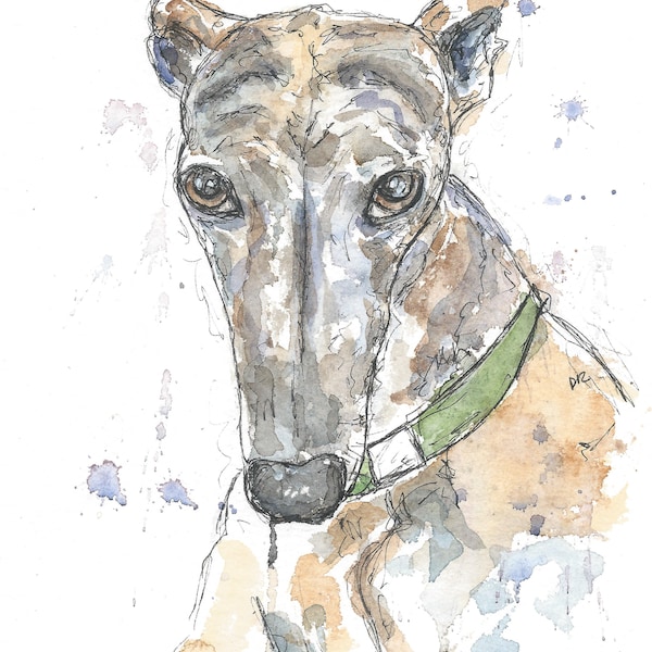 jpg brindle greyhound pen and watercolour drawing portrait download art file