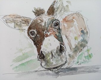 Donkey watercolour illustration painting print unframed