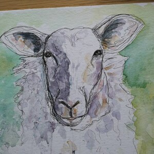 Peinture à l'aquarelle de moutons. Oeuvre originale. PRIX DE LIQUIDATION image 2