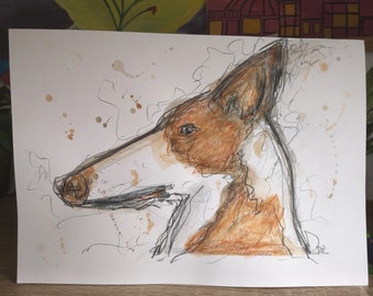 Ibizan hound Podenco charcoal and watercolour study. A4 size. Original.