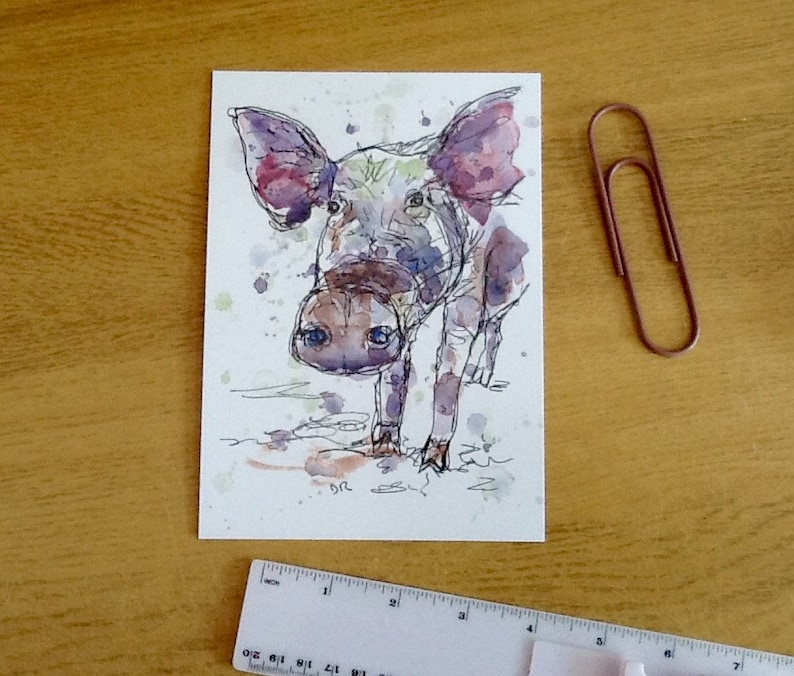 pen and watercolour print quirky style letterbox friendly gift A5 pig line drawing postcard farm animal art to frame art card