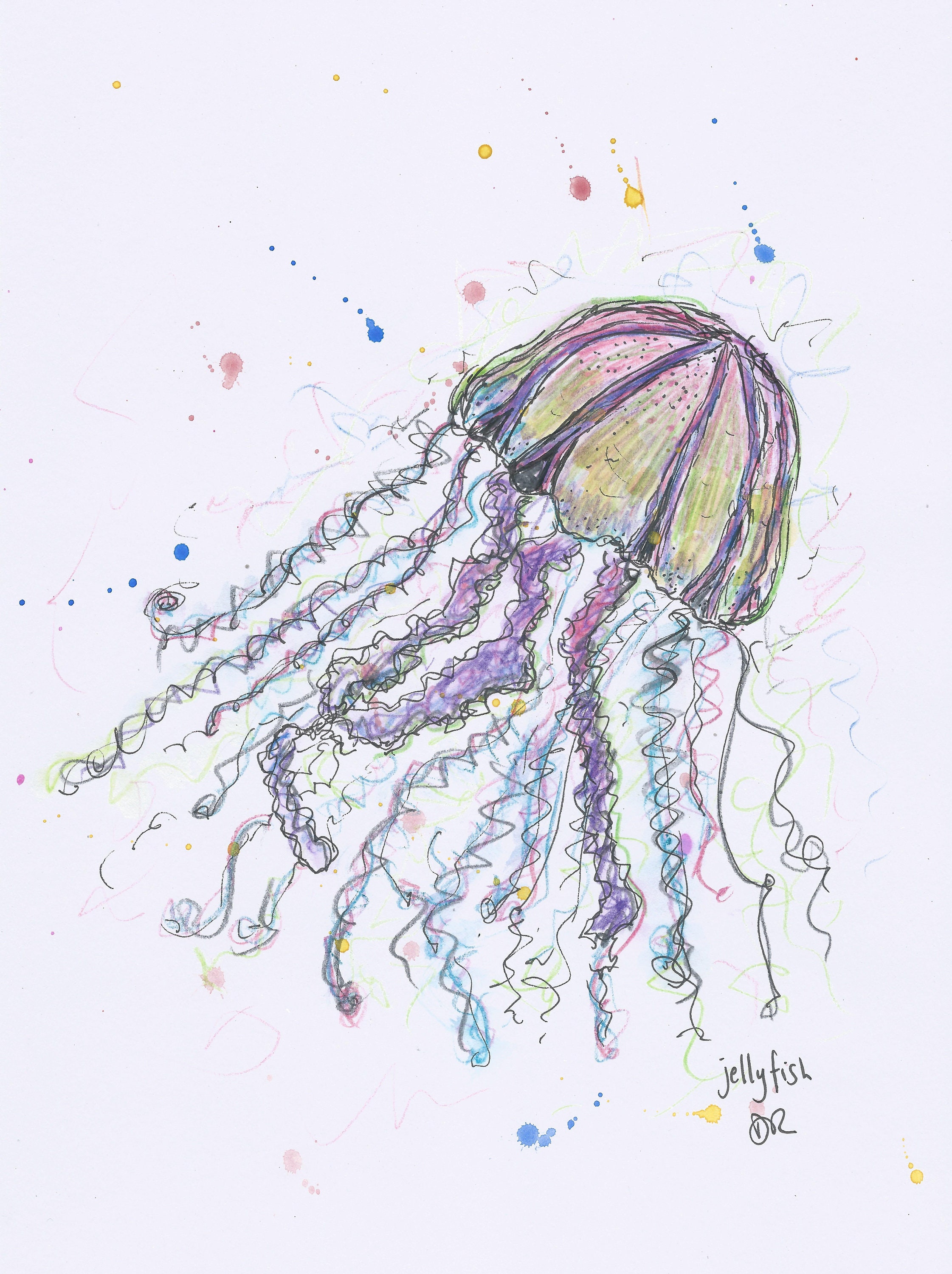 Jellyfish Drawing