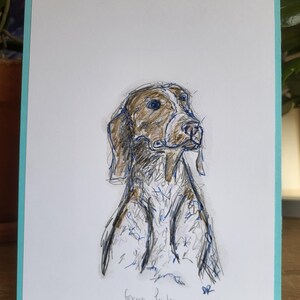 German Pointer Dog pencil sketch. Original small drawing.