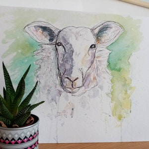 Peinture à l'aquarelle de moutons. Oeuvre originale. PRIX DE LIQUIDATION image 3