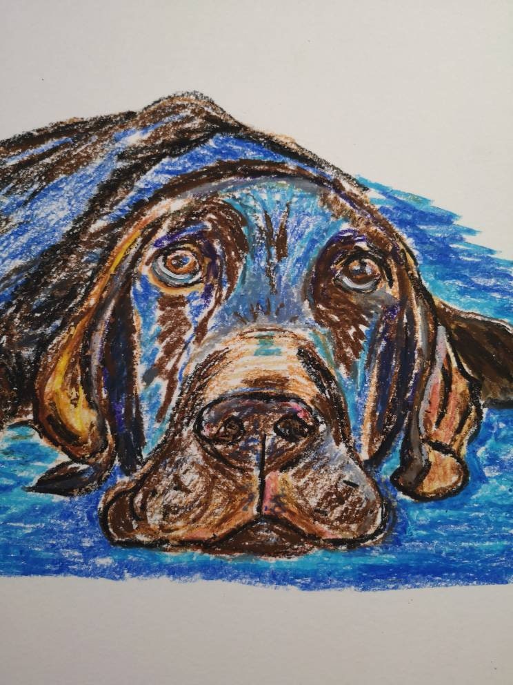Labrador Dog Oil Pastel Drawing Portrait. Original Work. - Etsy Israel Labrador Dog Oil Pastel Drawing Portrait. Original Work. - Etsy Israel