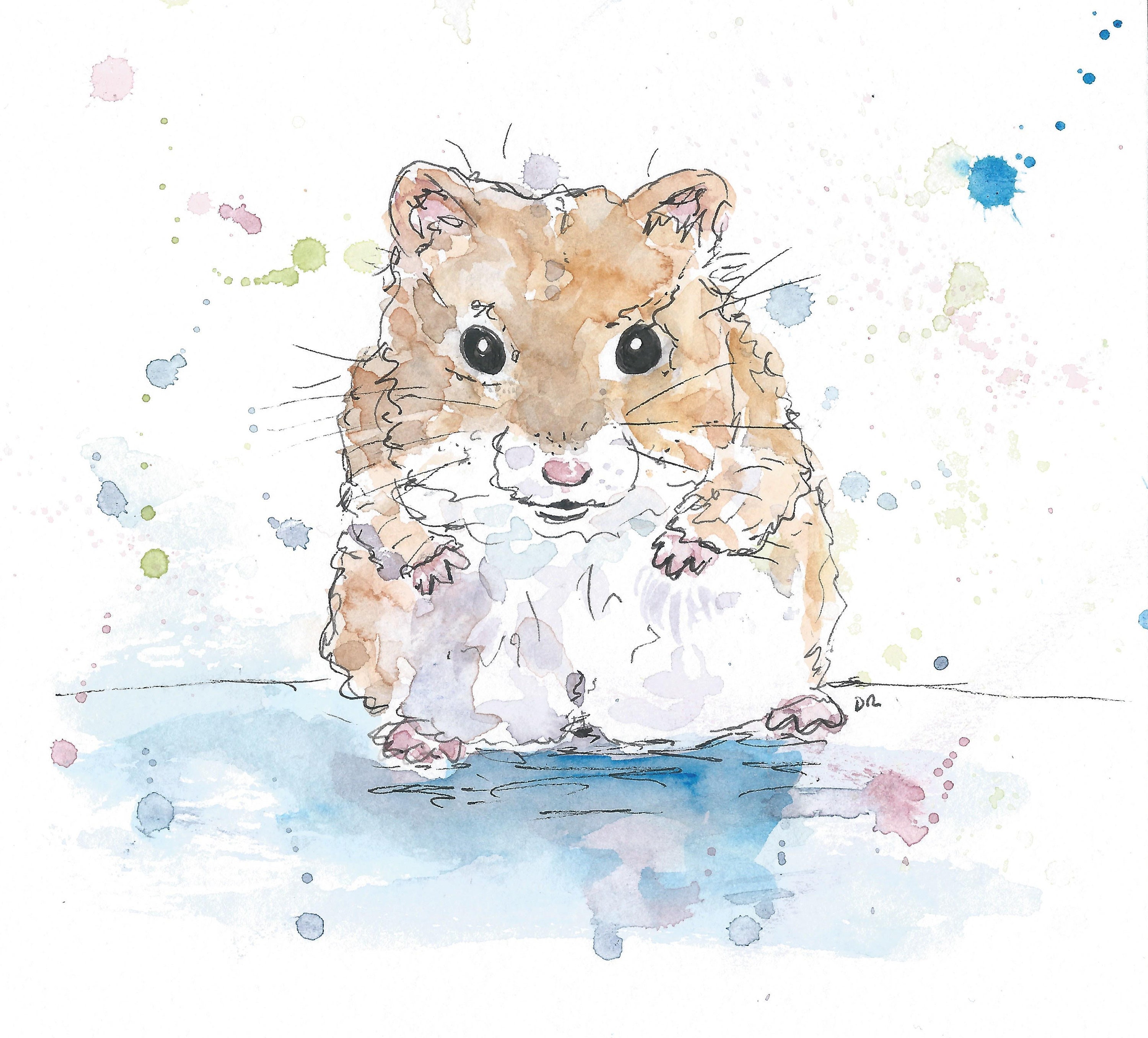 Syrian Hamster Download Watercolour Printable Hamster Etsy