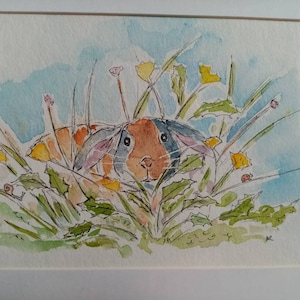 Ingelijste hangoorkunst, aquarelverf