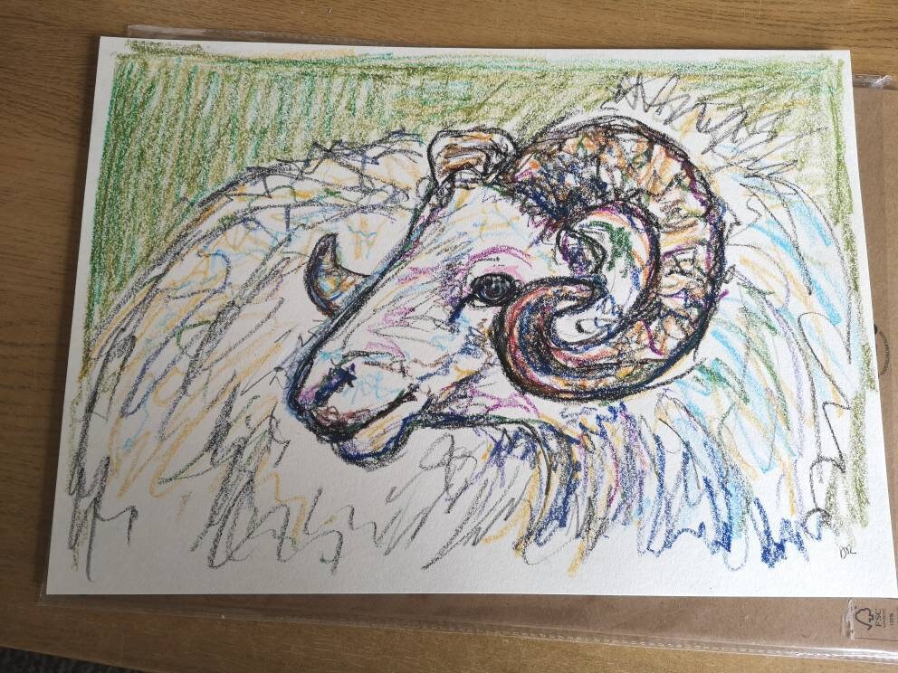 Original Ram Sheep Oil Pastel Drawing Unframed - Etsy Original Ram Sheep Oil Pastel Drawing Unframed - Etsy