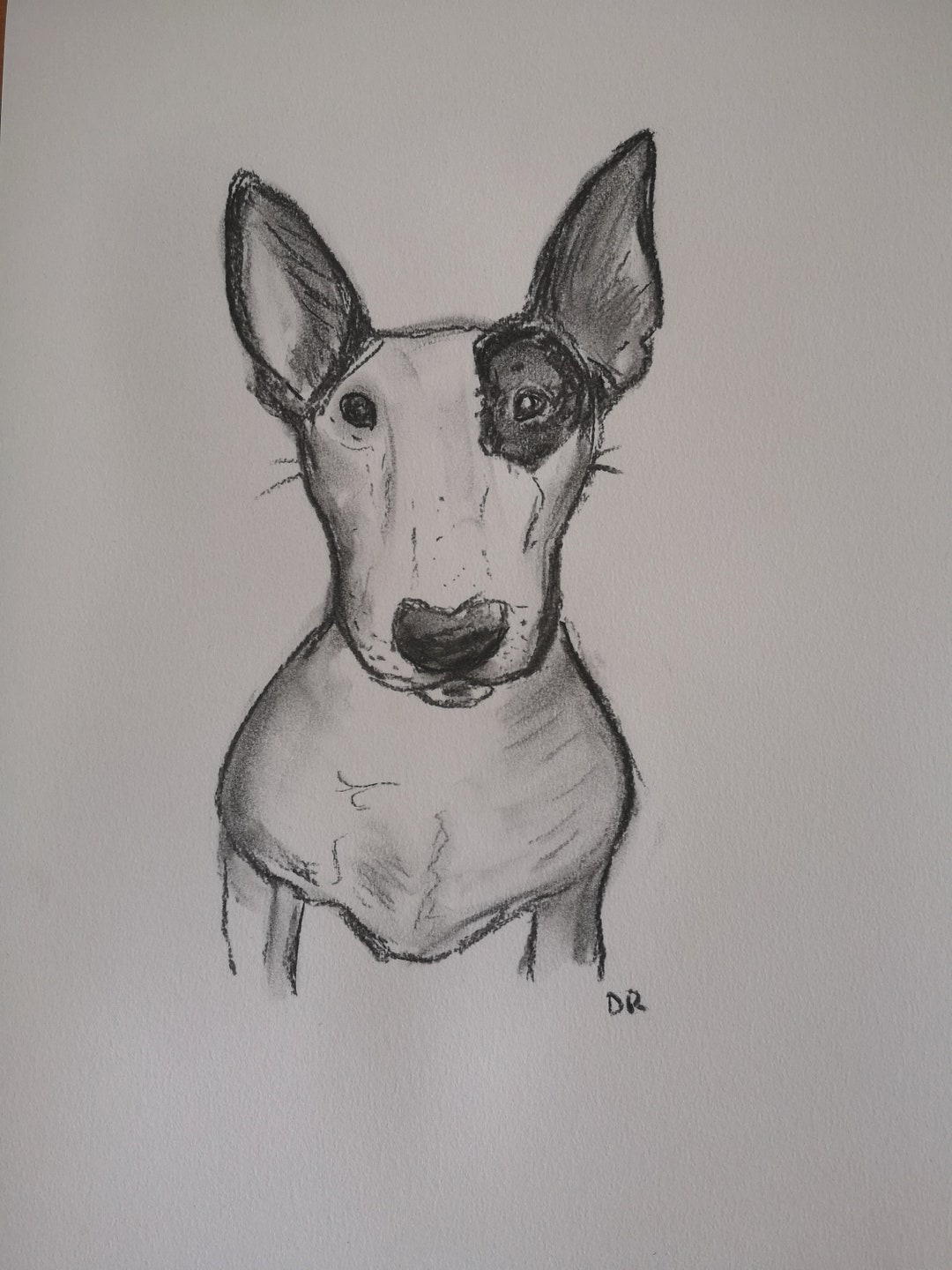 English Bull Terrier Bully Original Charcoal Drawing. A3 Size. - Etsy
