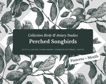 Perched Songbirds Seamless Pattern + Individual Motifs: Hand Drawn TIFF ...