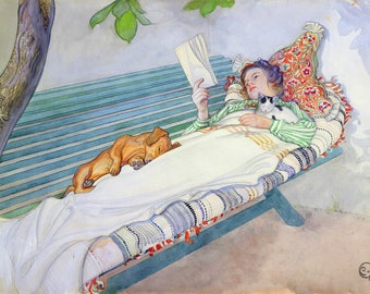 Fine Art Print by Carl Larsson of Woman Lying on a Bench, with dog and cat