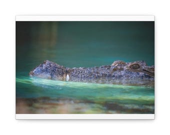 Submerged Crocodile Canvas Art, Wildlife Photography Print, Teal Green Water Home Decor