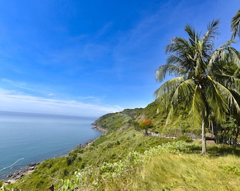 Ocean View