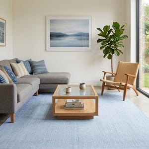 May include: A light blue area rug in a living room setting. The rug is under a wooden coffee table with a glass top and a gray sectional sofa. A framed landscape art piece hangs on the wall, and a potted plant and chair are nearby.