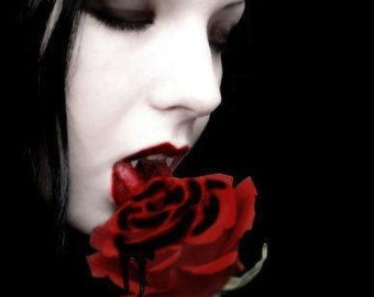 Vampire Book of Shadow Pages (Over 50 pages) (Read New Description)