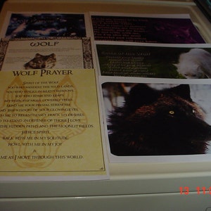 Puede incluir: Un conjunto de cuatro tarjetas impresas con imágenes y texto sobre lobos. Las tarjetas presentan una oración del lobo, una cita sobre el espíritu del lobo y dos imágenes de lobos. Las tarjetas están impresas en papel blanco con un fondo amarillo.