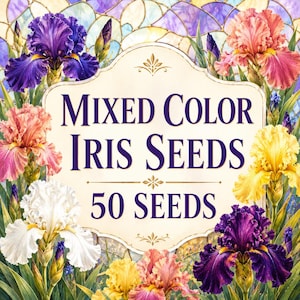 50 graines d'iris de couleurs assorties, fleurs vivaces rustiques pour jardin, fleurs ornementales