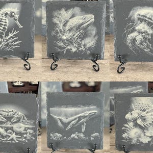 May include: A collection of square slate coasters with etched marine life designs. Each coaster features a different sea creature, including a seahorse, eel, jellyfish, crab, whale, and fish. The coasters are displayed on black metal stands.