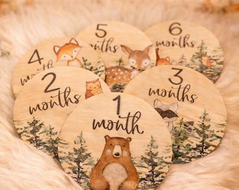 Woodland Baby Milestone Discs | Wooden Monthly Photo Markers