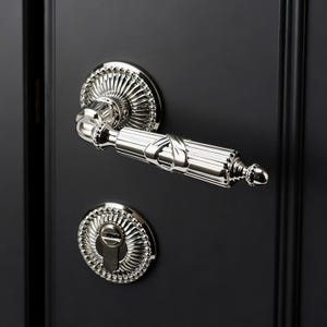 Peut inclure: Gros plan d'une poignée de porte et d'une serrure argentées sur une porte noire. La poignée présente un design décoratif avec un levier incurvé et une plaque arrière ronde. La serrure a également un design circulaire décoratif.