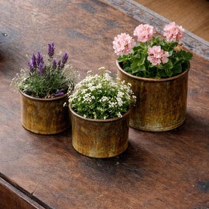 May include: Three small, rustic metal planters with flowers. One contains lavender, another white flowers, and the third pink flowers. The planters are on a dark wooden surface, creating a natural, earthy aesthetic.