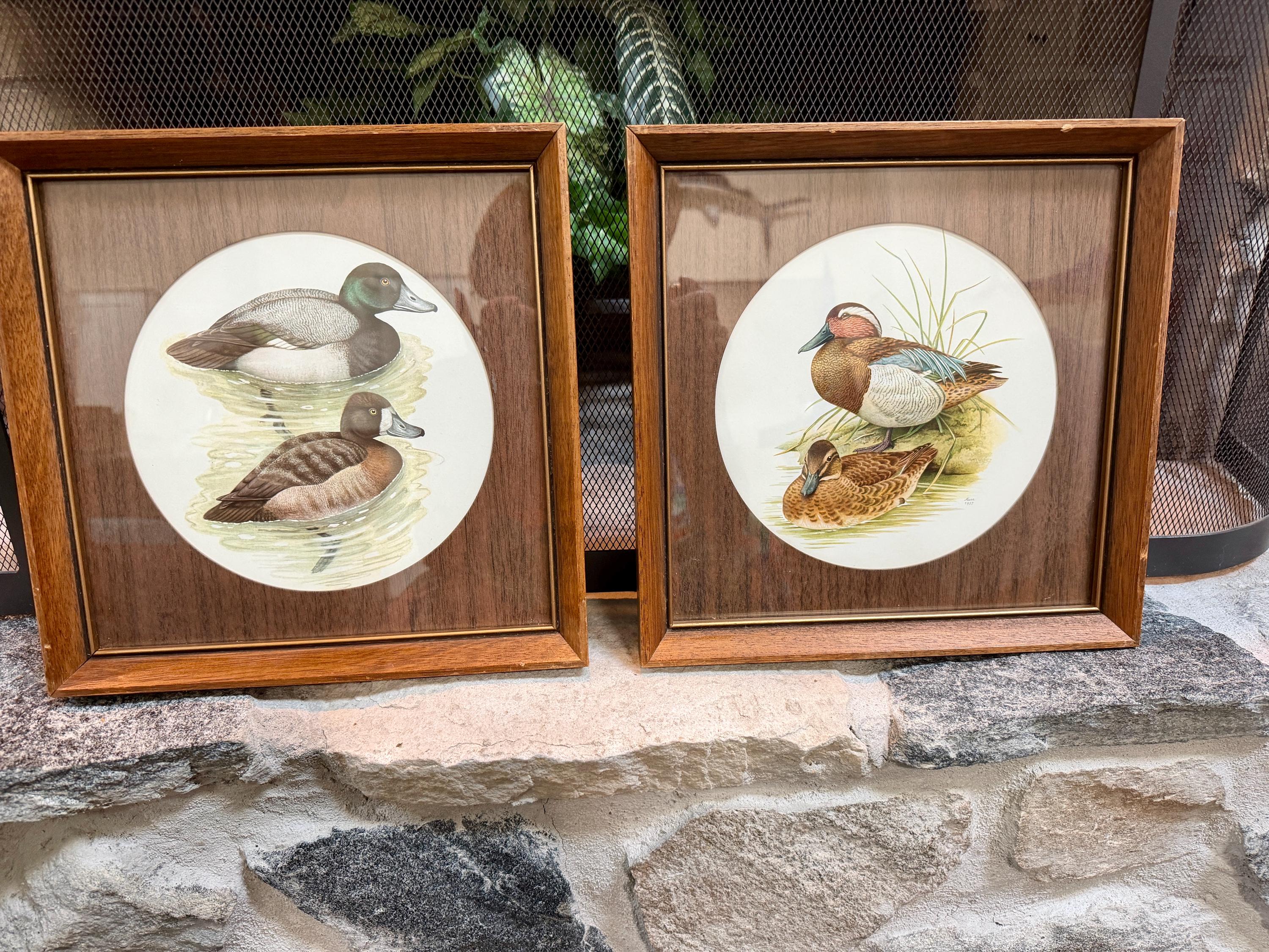 Vintage Ducks Unlimited - Etsy
