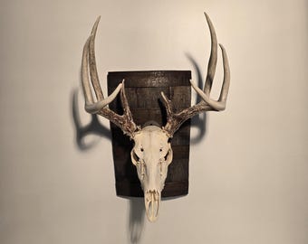 European mount made from bourbon barrel staves