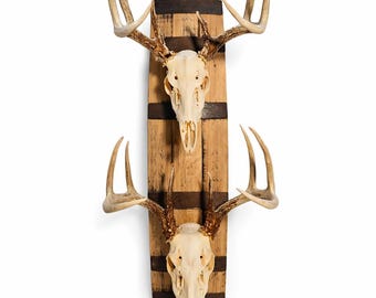 European mount made from bourbon barrel staves