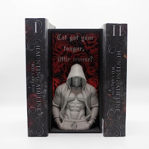 Cat Got Your Tongue? Dark Romance Book Nook | Haunting Adeline Bookshelf Insert | Adeline x Zade Inspired Decor | Spicy Book Lover Gift